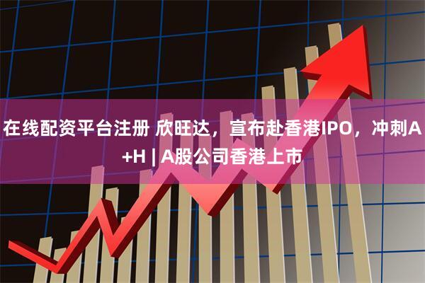 在线配资平台注册 欣旺达，宣布赴香港IPO，冲刺A+H | A股公司香港上市